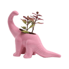 Dinosaur Ceramic Indoor Plant Pot For Succulents - Chive Ceramics Studio - Pots - Chive US