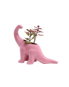 Dinosaur Ceramic Indoor Plant Pot For Succulents - Chive Ceramics Studio - Pots - Chive US