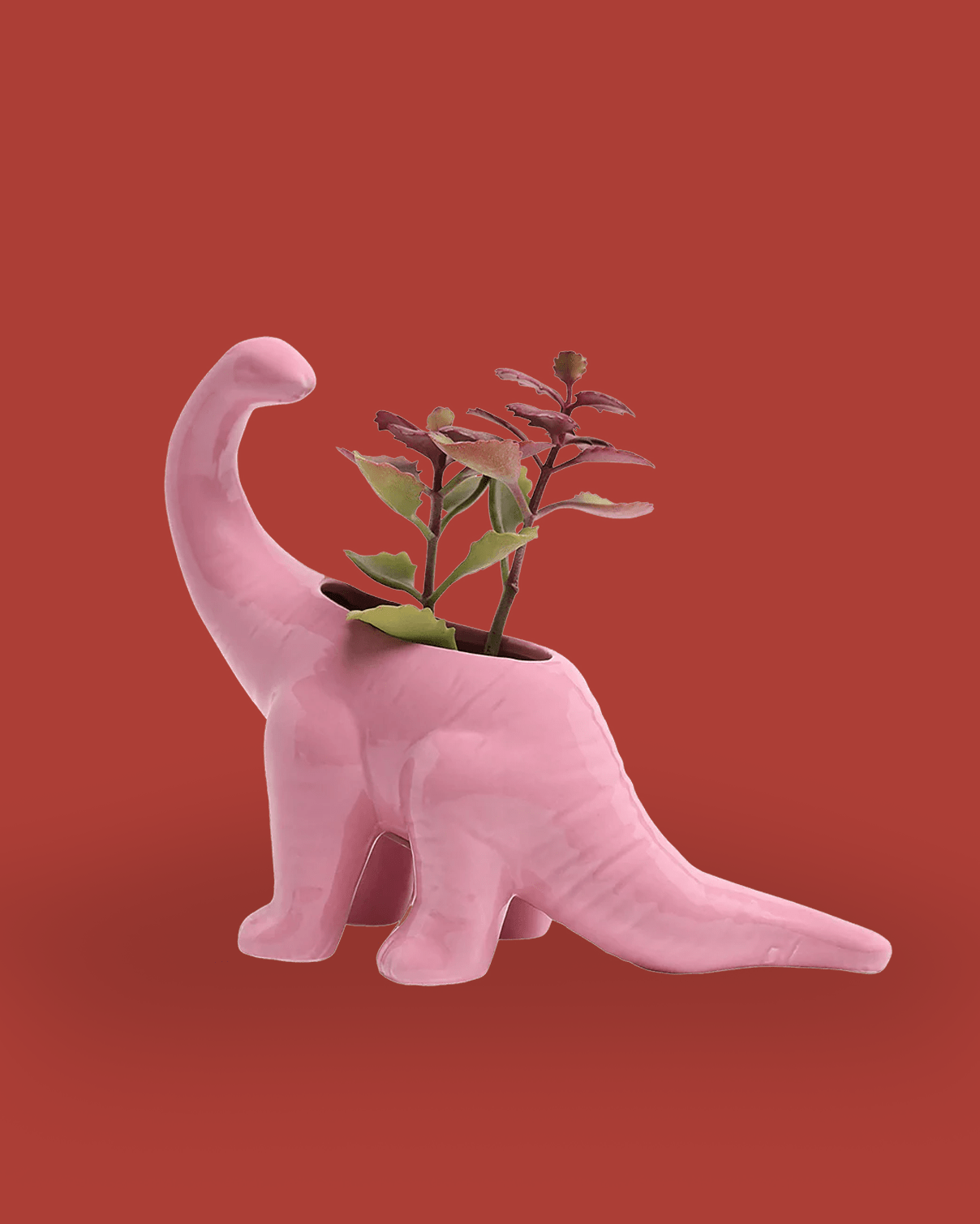 Brontosaurus Ceramic Indoor Plant Pot - Chive Ceramics Studio - Pots - Chive Ceramics Studio