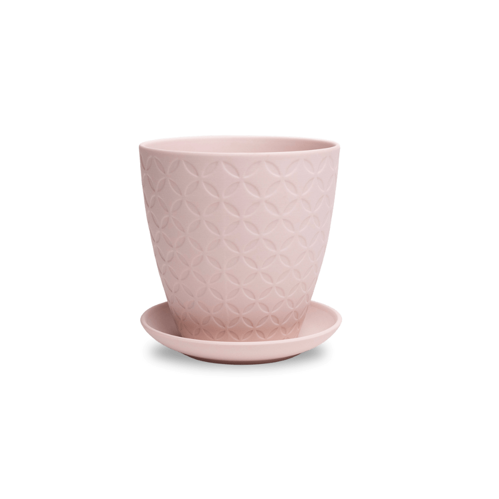 Virago 5" Porcelain Pot With Drainage Hole And Saucer - Chive Ceramics Studio - Pots - Chive Ceramics Studio