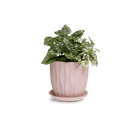 Virago 5" Porcelain Pot With Drainage Hole And Saucer - Chive Ceramics Studio - Pots - Chive Ceramics Studio