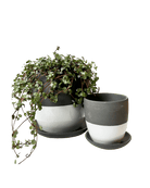 Dyad Porcelain Modern Indoor Plant Pot With Saucer - Chive Ceramics Studio - Pots - Chive US