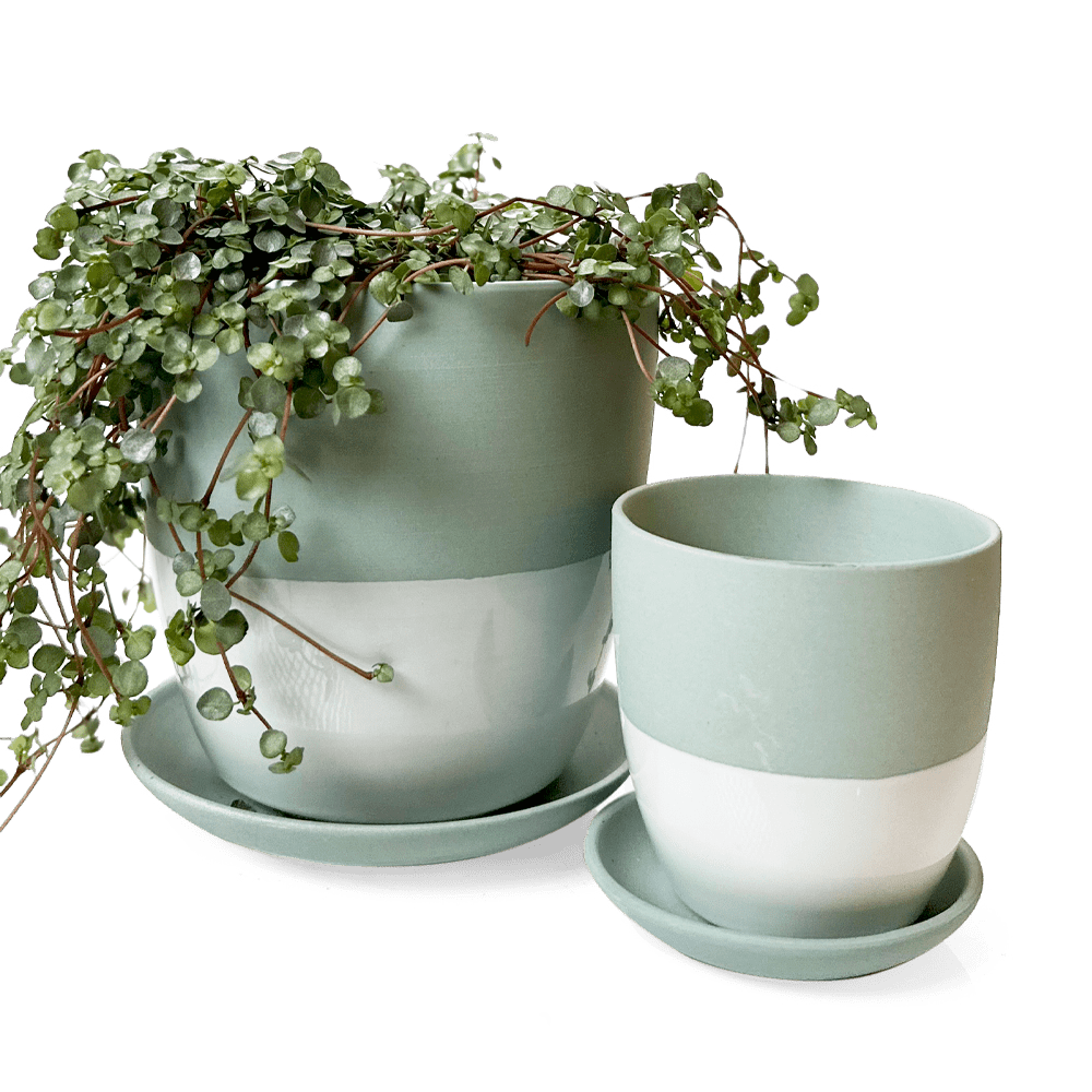 Dyad Porcelain Modern Indoor Plant Pot With Saucer - Chive Ceramics Studio - Pots - Chive US