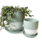 Dyad Porcelain Modern Indoor Plant Pot With Saucer - Chive Ceramics Studio - Pots - Chive US