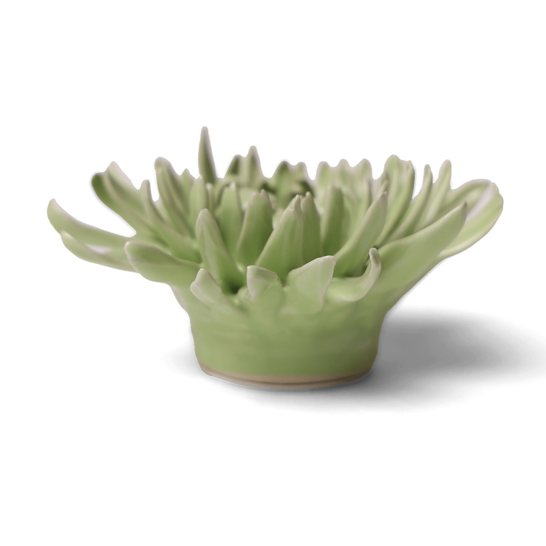 Ceramic Flower Wall Art Flower Green 12 - Chive Ceramics Studio - Ceramic Flowers - Chive US