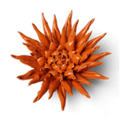 Ceramic Flower Wall Art Large Orange 12 - Chive Ceramics Studio - Ceramic Flowers - Chive US