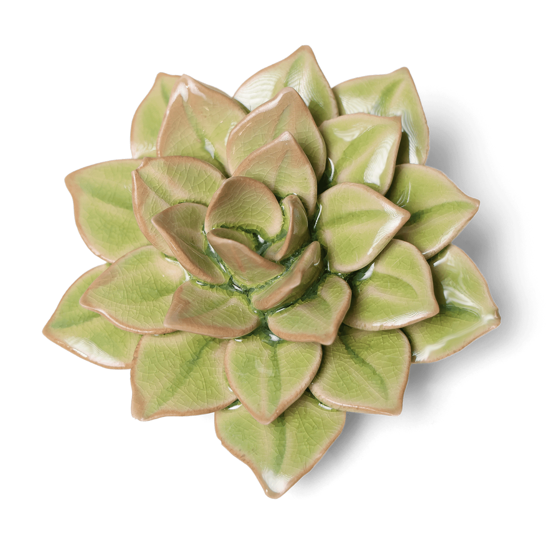 English Garden Ceramic Flower Green Medium Succulent Wall Art - Chive Ceramics Studio - Ceramic Flowers - Chive US