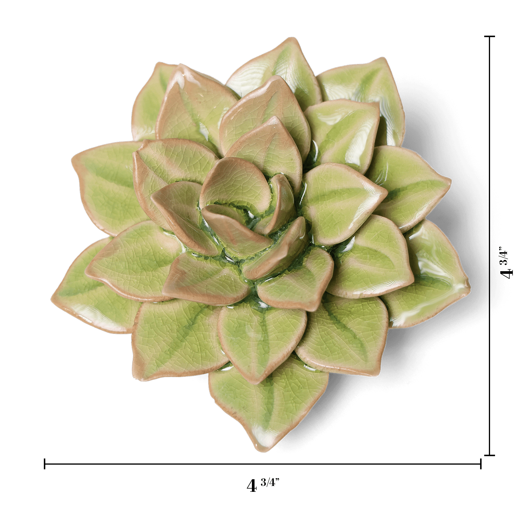 English Garden Ceramic Flower Green Medium Succulent Wall Art - Chive Ceramics Studio - Ceramic Flowers - Chive US