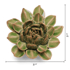 English Garden Ceramic Flower Green Small Succulent Wall Art - Chive Ceramics Studio - Ceramic Flowers - Chive US