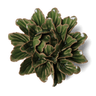 Ceramic Flower Wall Art Green Flower 14 - Chive Ceramics Studio - Ceramic Flowers - Chive US