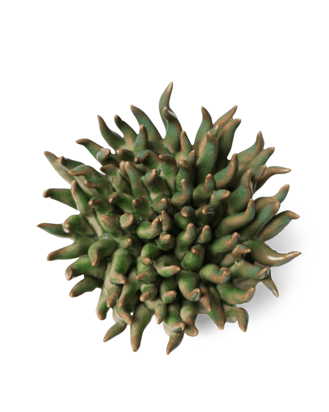 Ceramic Flower Mondo Green 4 - Chive Ceramics Studio - Ceramic Flowers - Chive Wholesale