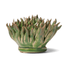 Ceramic Flower Wall Art Mondo Green 4 - Chive Ceramics Studio - Ceramic Flowers - Chive US