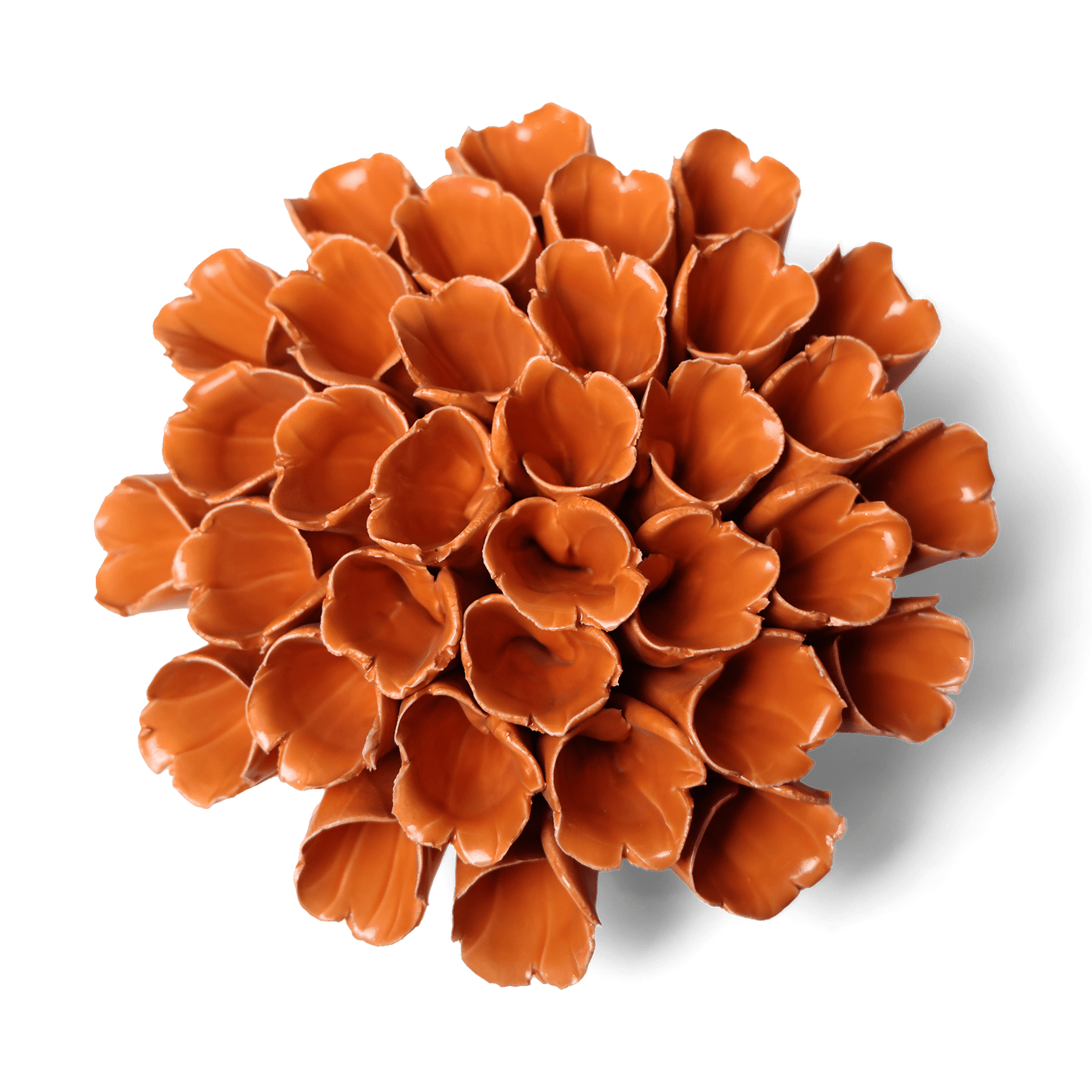 Ceramic Flower Wall Art Polyp Orange Large - Chive Ceramics Studio - Ceramic Flowers - Chive US