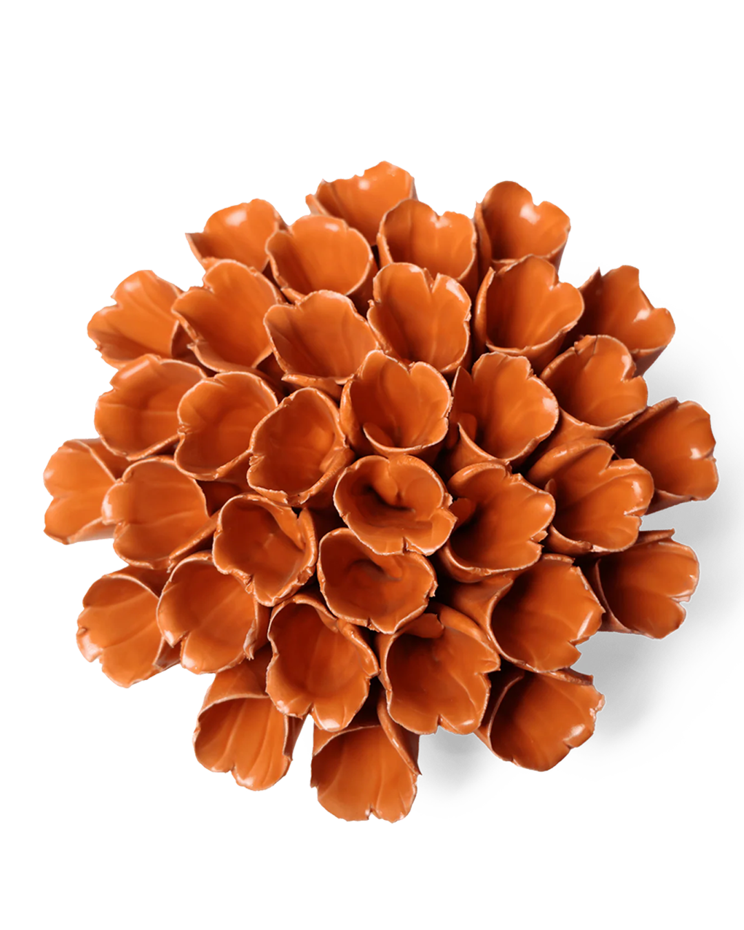 Ceramic Flower Wall Art Polyp Orange Large - Chive Ceramics Studio - Ceramic Flowers - Chive US