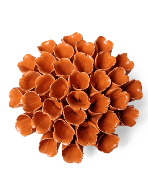 C5F230-1_grande.png?v=1754421513