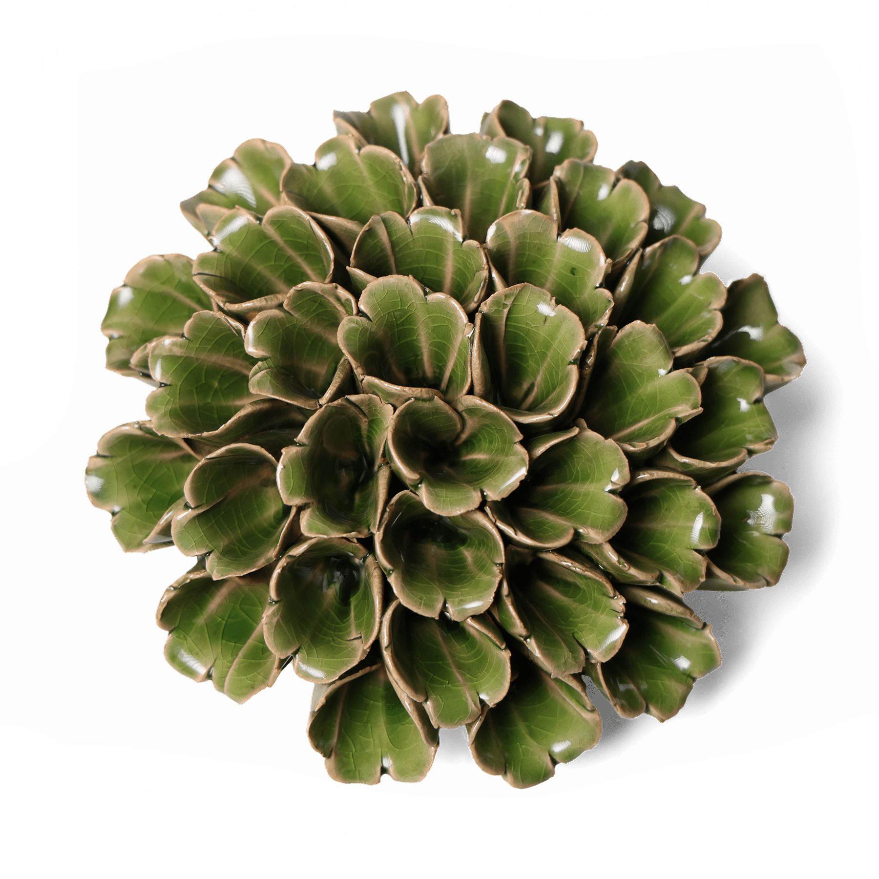 Ceramic Flower Wall Art Polyp Green Large - Chive Ceramics Studio - Ceramic Flowers - Chive US