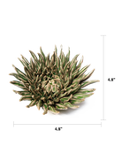 Ceramic Flower Mum Olive 5 - Chive Ceramics Studio - Ceramic Flowers - Chive US