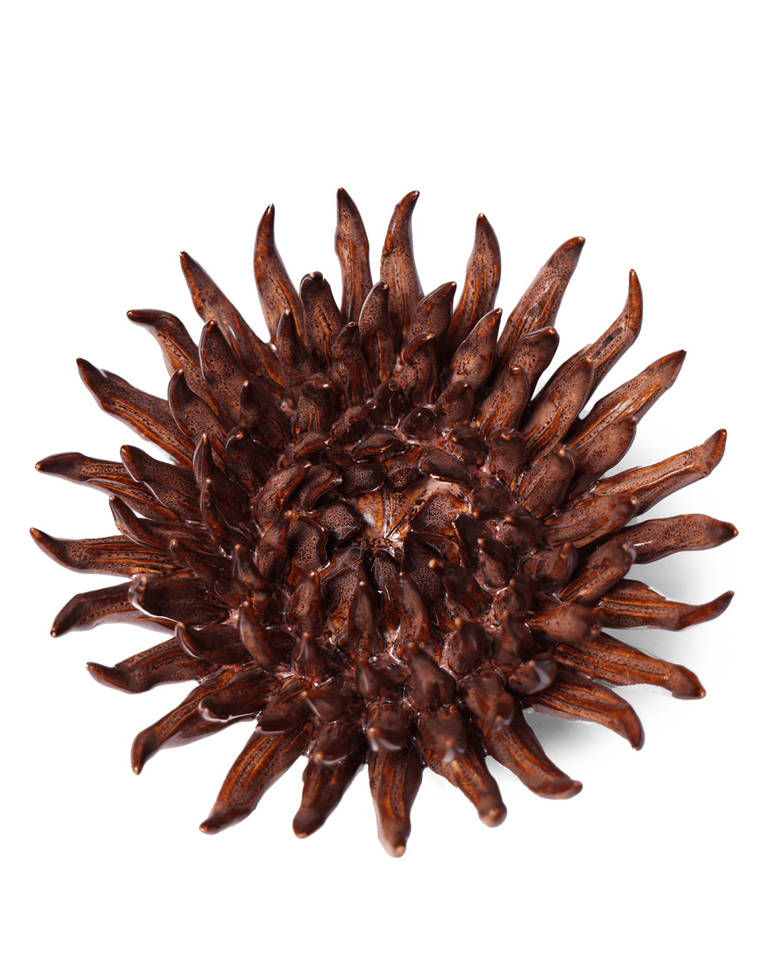 Ceramic Flower Wall Art Mum Chocolate 5 - Chive Ceramics Studio - Ceramic Flowers - Chive US