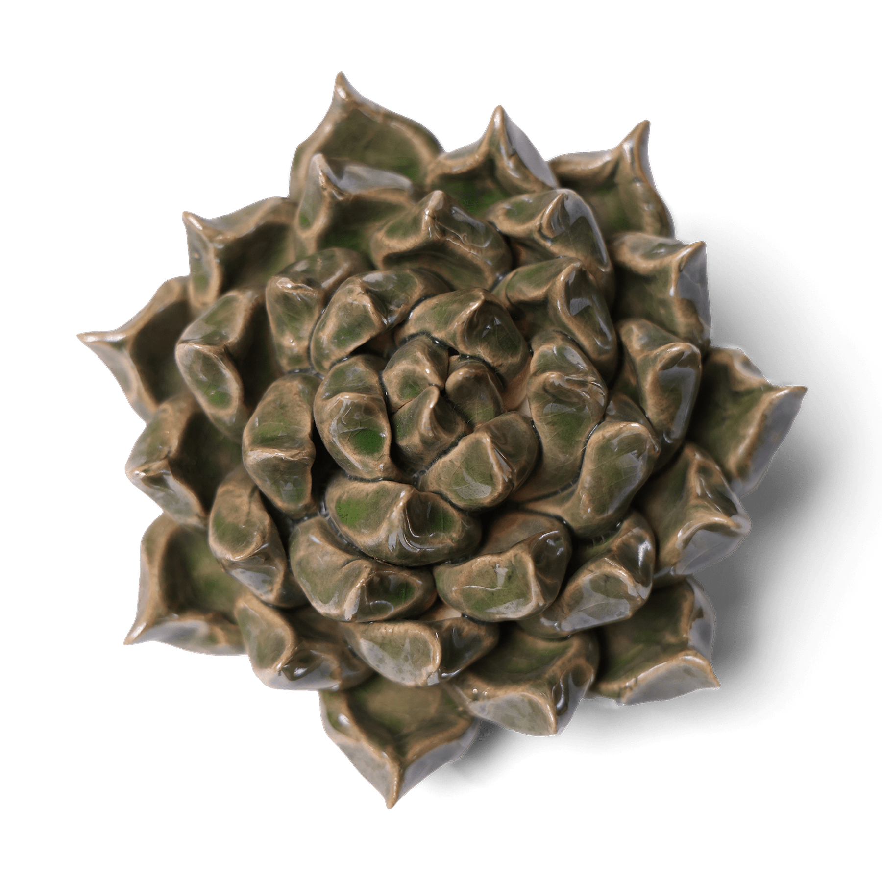 Ceramic Flower Wall Art Succulent Green 6 - Chive Ceramics Studio - Ceramic Flowers - Chive US