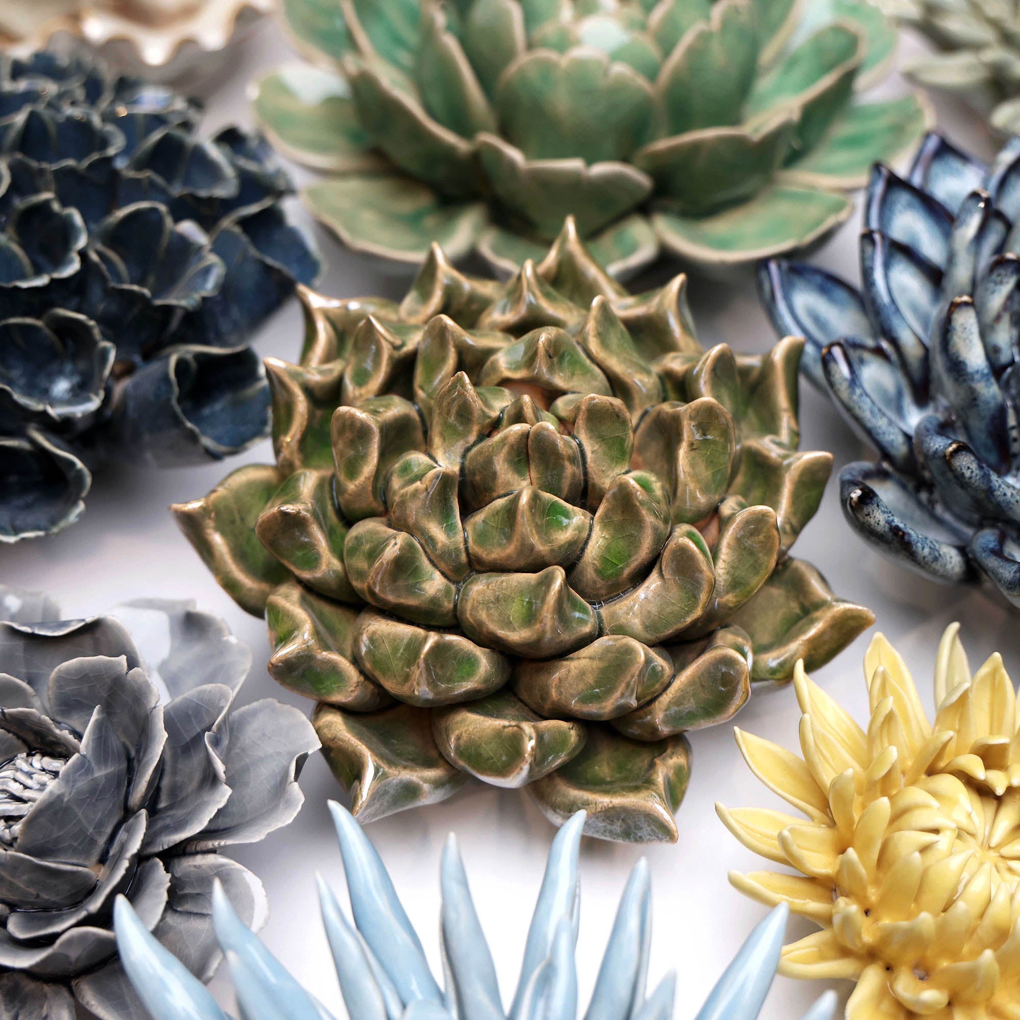 Succulent Green 6 ceramic wall flower styled on wall — Classic Collection — Chive Studio Toronto