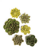 Wisley Garden - 6 Piece Set - Chive Ceramics Studio - Ceramic Flower Sets - Chive Ceramics Studio