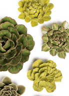 Wisley Garden - 6 Piece Set - Chive Ceramics Studio - Ceramic Flower Sets - Chive Ceramics Studio