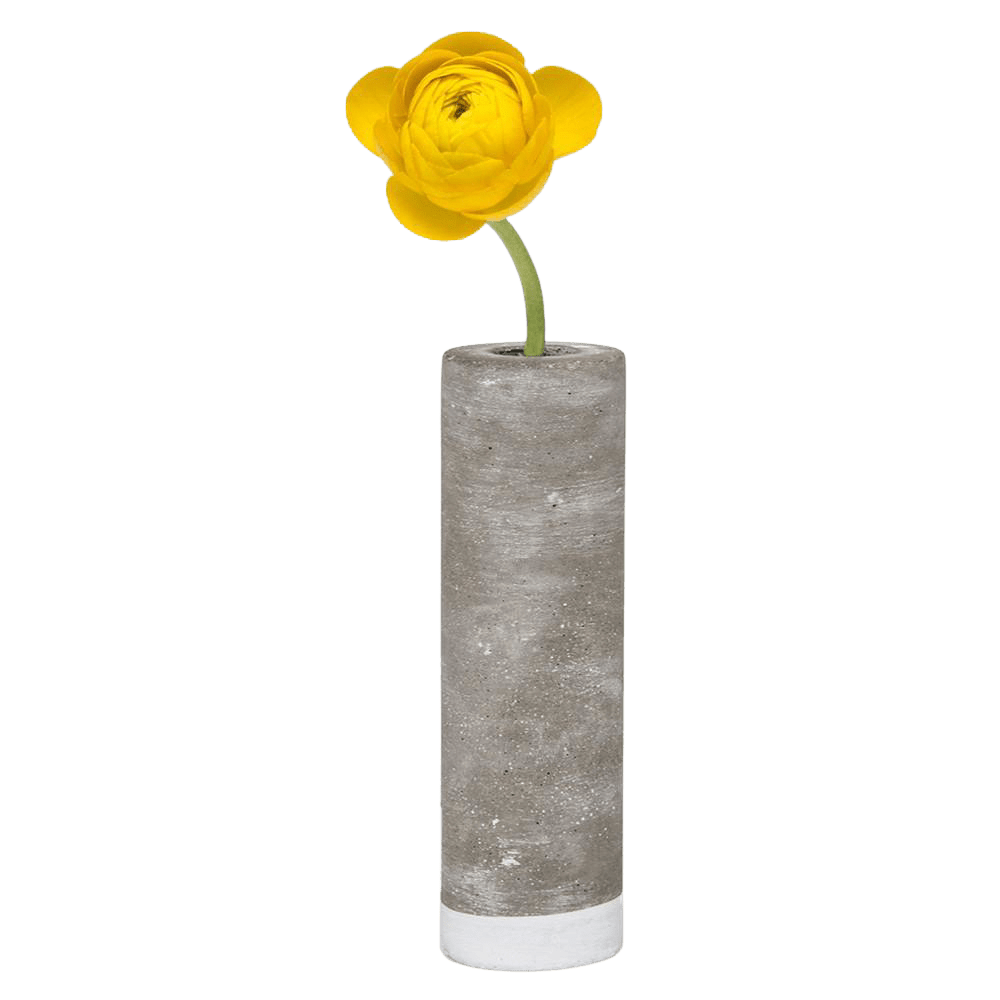 Cement Flower Vase Lined With Glass Tube - Chive Ceramics Studio - Vases - Chive US