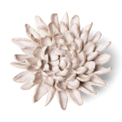 Coastal Ceramic Flower Ivory Chrysanthemum Wall Art - Chive Ceramics Studio - Ceramic Flowers - Chive US