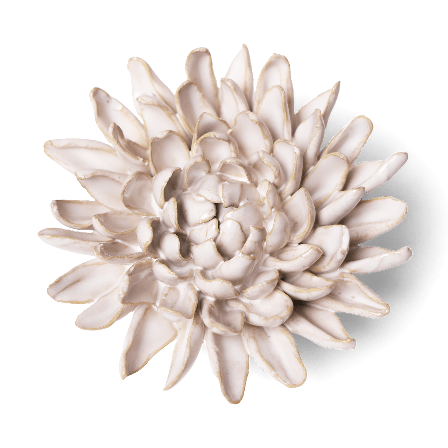 Coastal Ceramic Flower Ivory Chrysanthemum Wall Art - Chive Ceramics Studio - Ceramic Flowers - Chive US