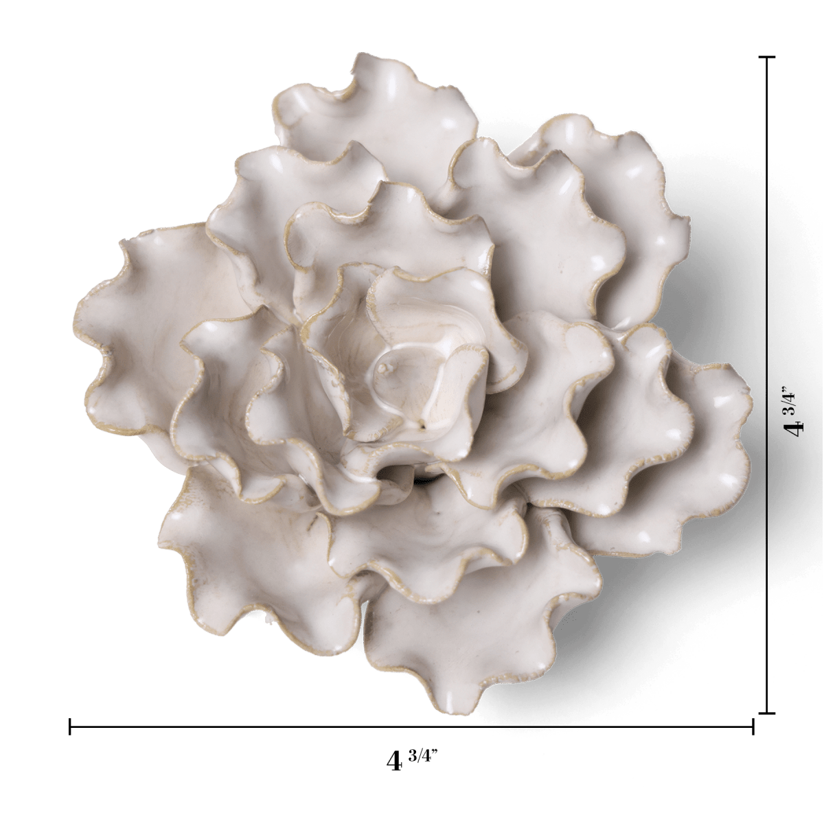 CO14 Ivory Sea Lettuce Medium - Chive US Wholesale