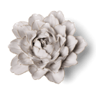 Coastal Ceramic Flower Ivory Zinnia Wall Art - Chive Ceramics Studio - Ceramic Flowers - Chive US