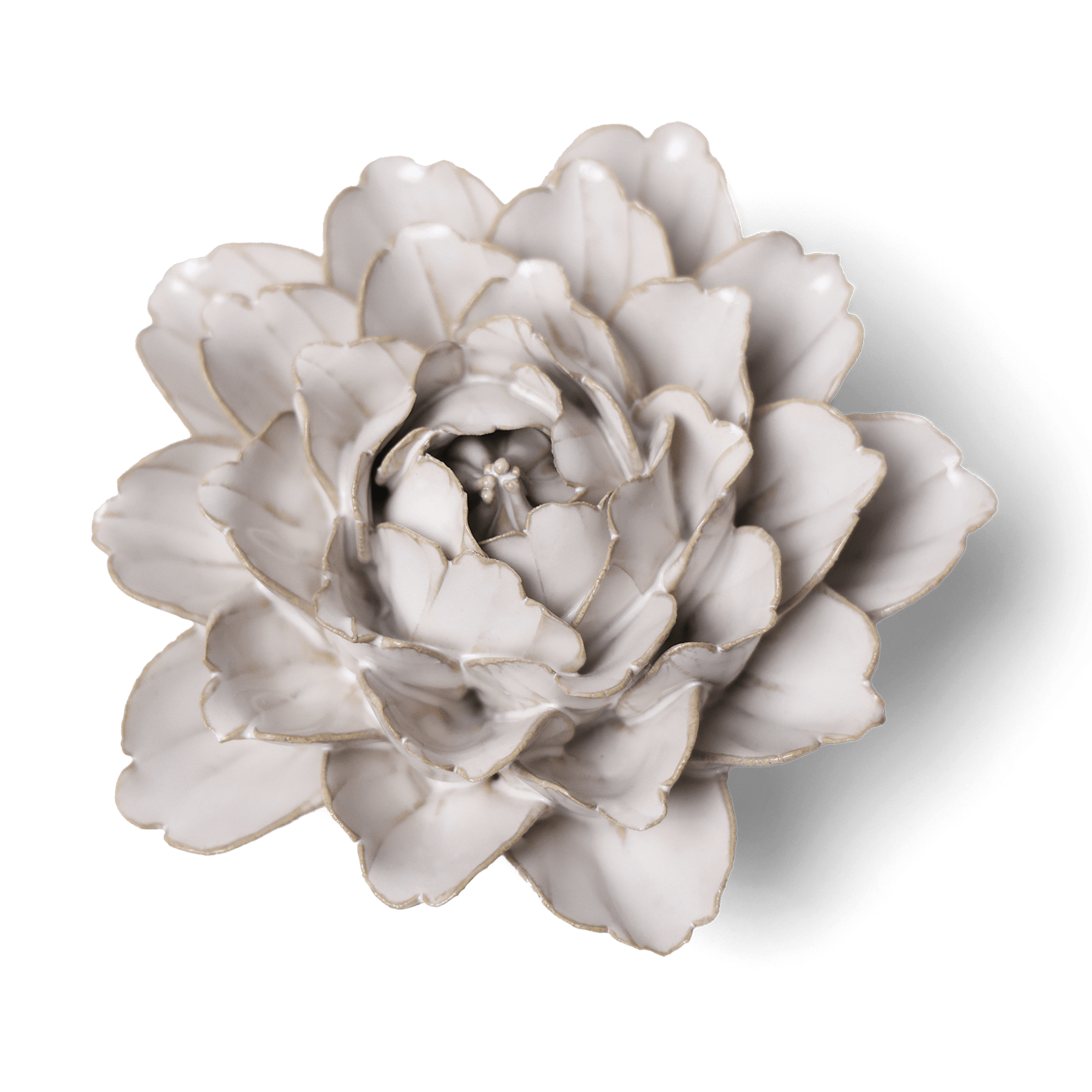 Coastal Ceramic Flower Ivory Zinnia Wall Art - Chive Ceramics Studio - Ceramic Flowers - Chive US