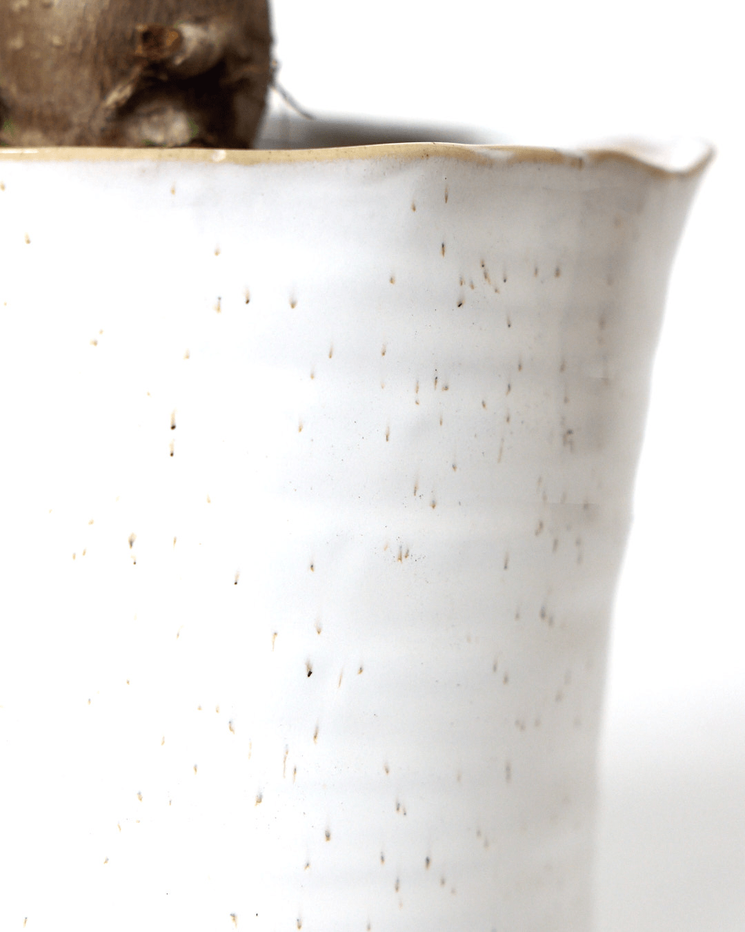 Channa Ceramic Planter Pot - Chive Ceramics Studio - Pots - Chive Ceramics Studio