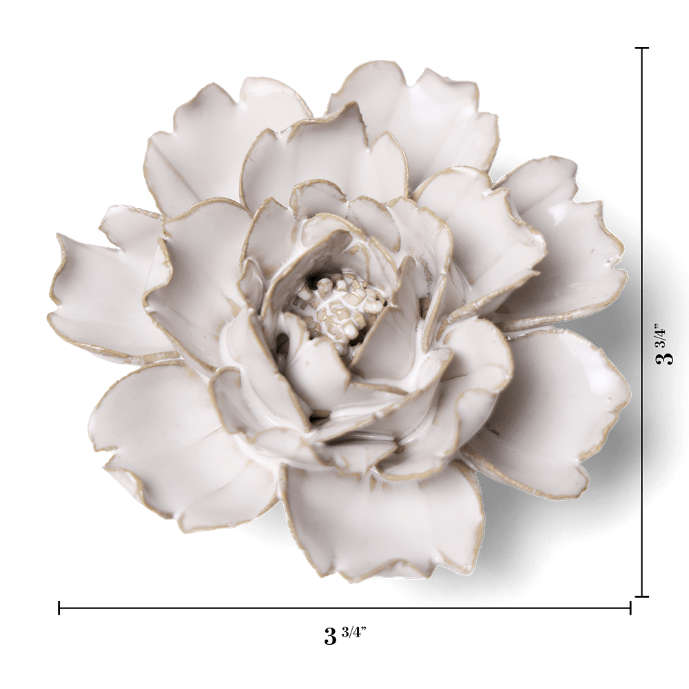 Ivory Rose Ceramic Wall Flower | Chive