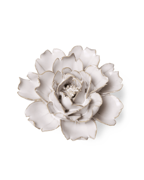 CO03-1_f065dc6a-8d2e-40a0-ad54