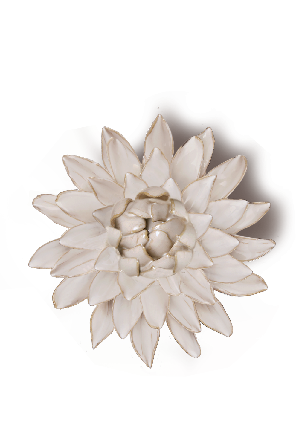 Ivory Strawflower ceramic wall flower  -  Coastal collection  -  handmade by Chive Studio Toronto