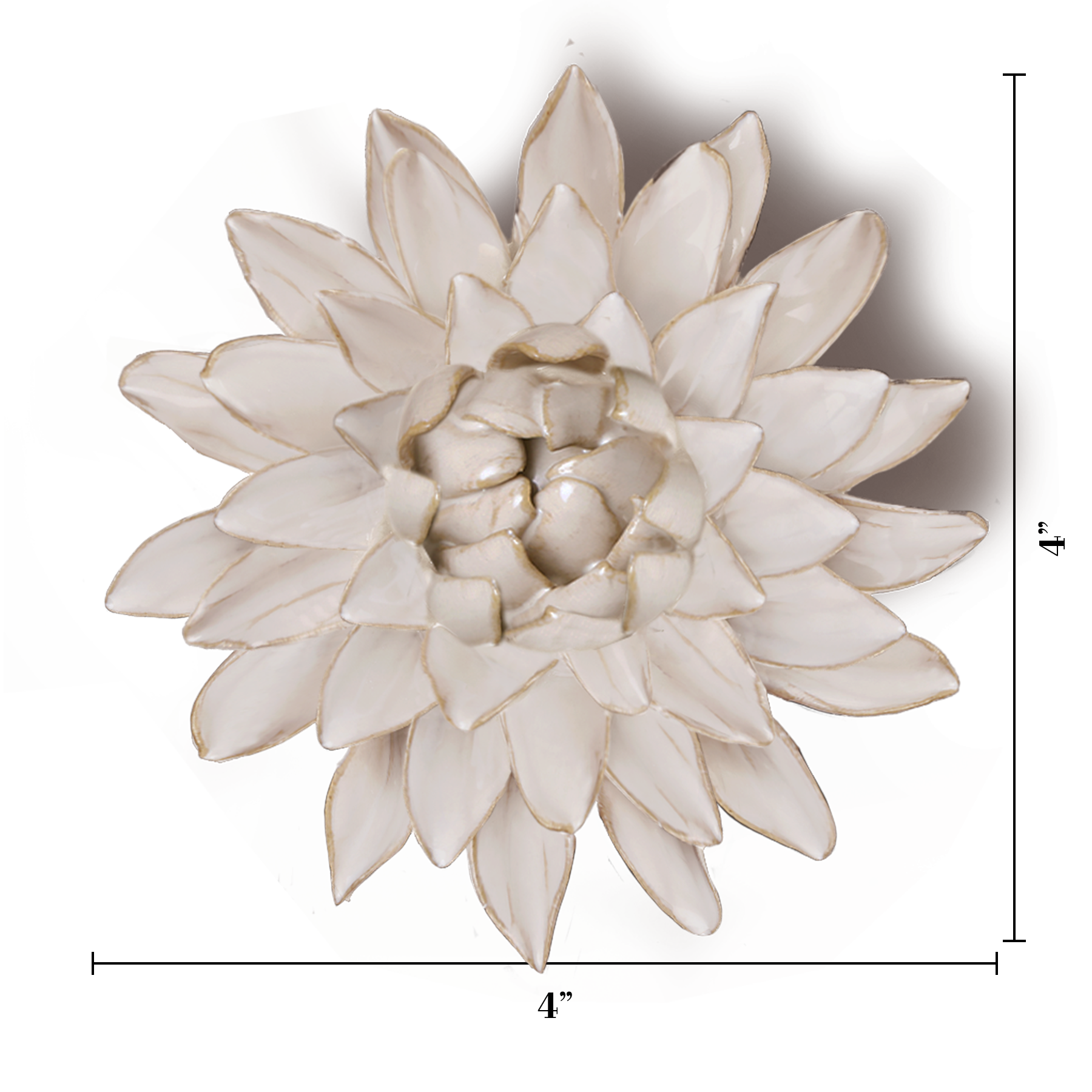 Ivory Strawflower ceramic wall flower  -  Coastal collection  -  handmade by Chive Studio Toronto