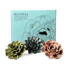 Ceramic Flower Wall Art Blomma Box Set - Chive Ceramics Studio - Ceramic Flowers - Chive US