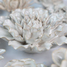 Ceramic Flower Coastal Curated Collection #2 - Chive Ceramics Studio - Ceramic Flower Sets - Chive Ceramics Studio