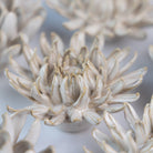 Ceramic Flower Coastal Curated Collection #5 - Chive Ceramics Studio - Ceramic Flower Sets - Chive Ceramics Studio