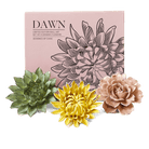 Ceramic Flower Wall Art Dawn Box Set - Chive Ceramics Studio - Ceramic Flowers - Chive US