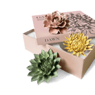 Ceramic Flower Wall Art Dawn Box Set - Chive Ceramics Studio - Ceramic Flowers - Chive US