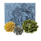 Ceramic Flower Wall Art Day Box Set - Chive Ceramics Studio - Ceramic Flowers - Chive US