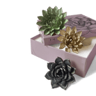 Ceramic Flower Wall Art Dusk Box Set - Chive Ceramics Studio - Ceramic Flowers - Chive US