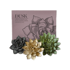 Ceramic Flower Wall Art Dusk Box Set - Chive Ceramics Studio - Ceramic Flowers - Chive US