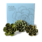 Ceramic Flower Wall Art Fleur Box Set - Chive Ceramics Studio - Ceramic Flowers - Chive US