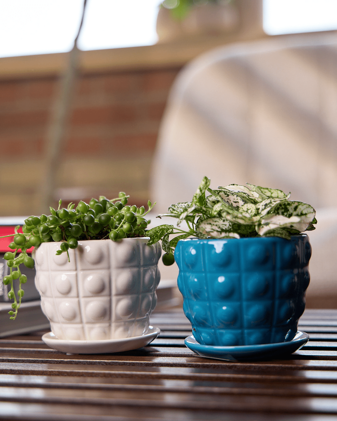 Convex Ceramic Pot With Drainage Hole And Saucer - Chive Ceramics Studio - Pots - Chive US