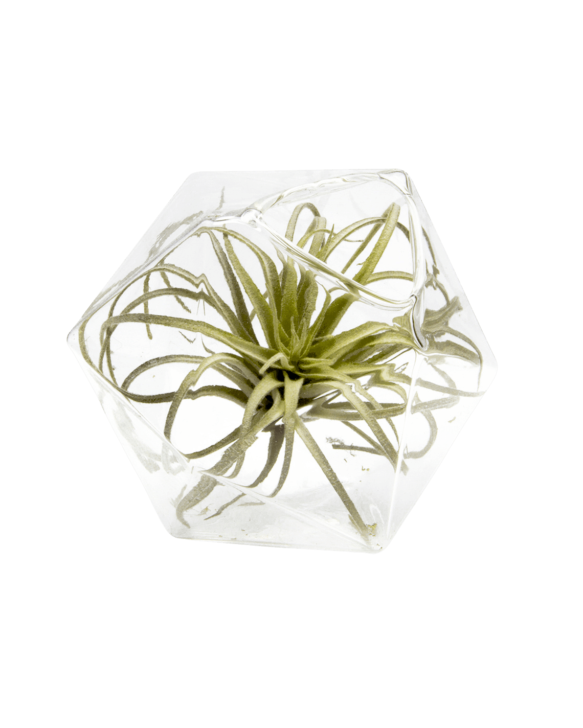 Crystal Glass Modern Clear Flower Vase - Chive Ceramics Studio - Vases - Chive US