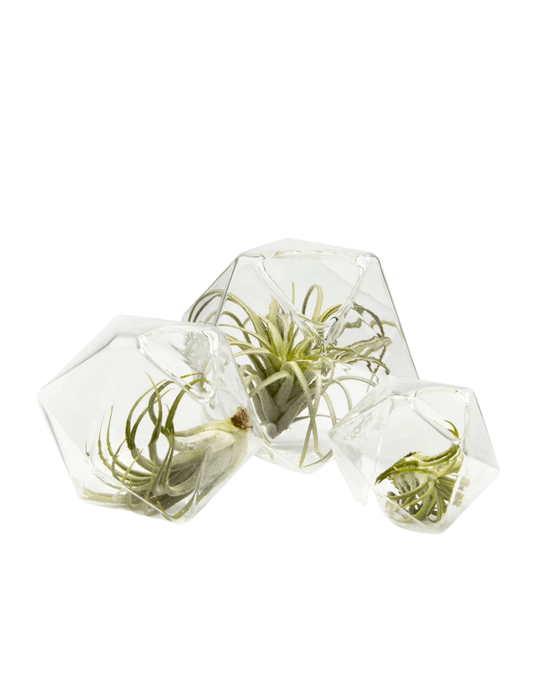 Crystal Glass Modern Clear Flower Vase - Chive Ceramics Studio - Vases - Chive US