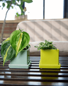 Cube & Saucer Ceramic Pot With Drainage Hole - Chive Ceramics Studio - Pots - Chive Ceramics Studio